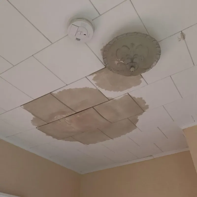 Ceiling Water Damage Repair in Winona County, MN