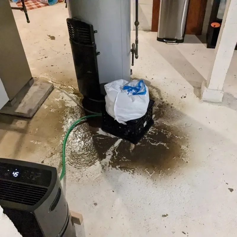 Sewage Backup Cleanup Service in Winona County, MN